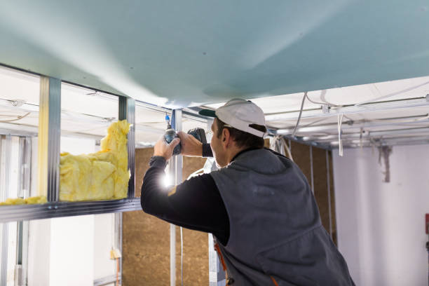 Best Insulation Contractor Near Me  in Sweet Springs, MO
