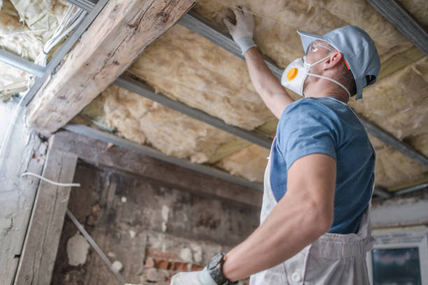 Best Affordable Insulation Services  in Sweet Springs, MO
